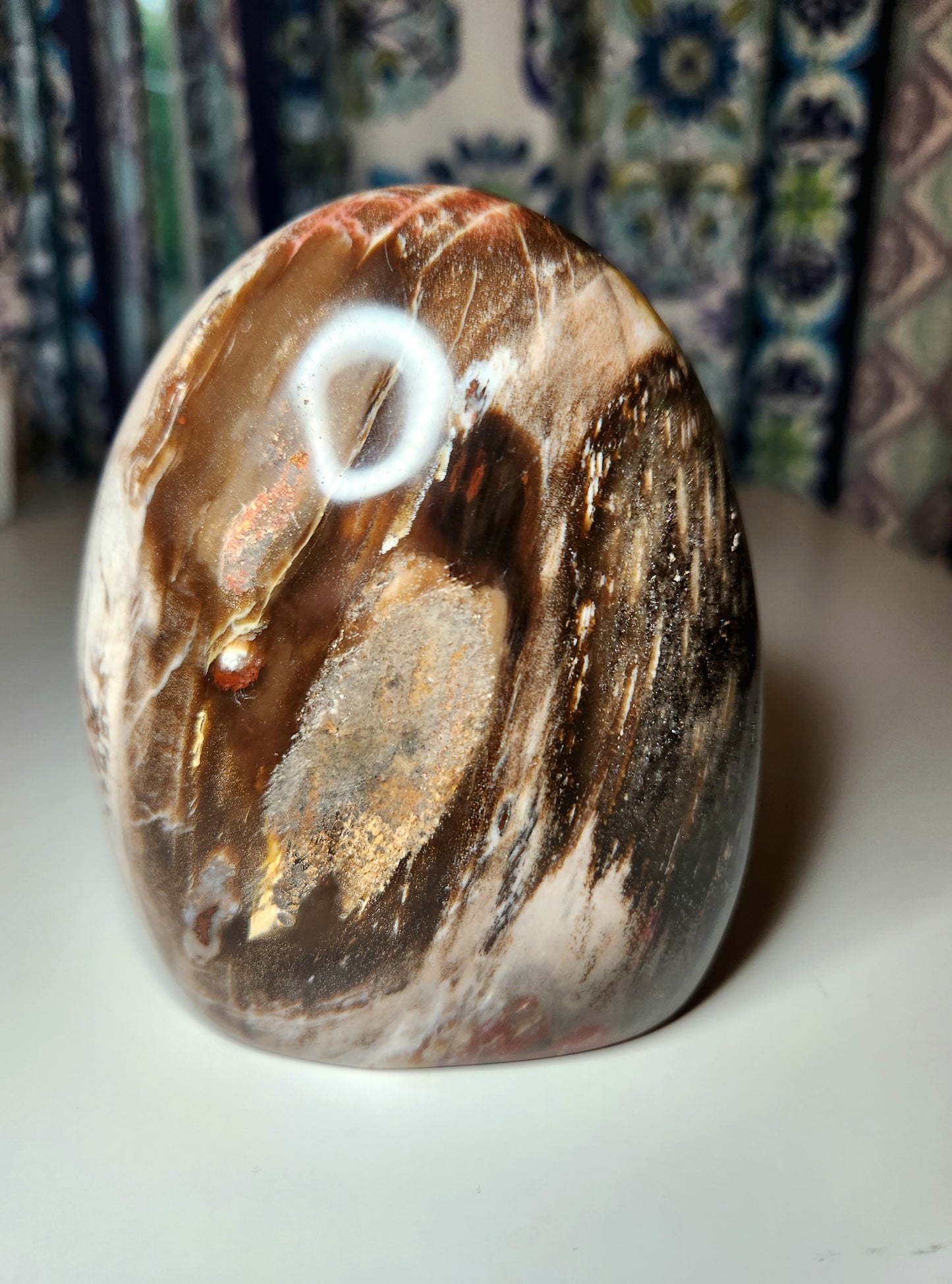 Petrified Wood Free Form