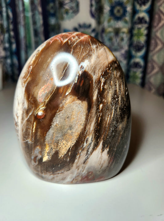 Petrified Wood Free Form