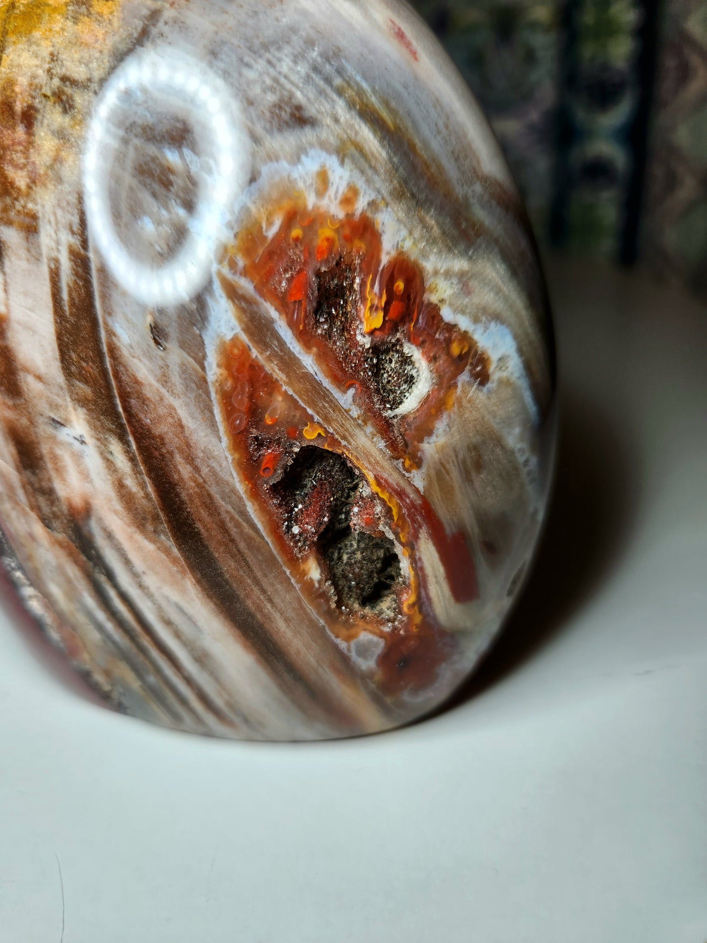Petrified Wood Free Form