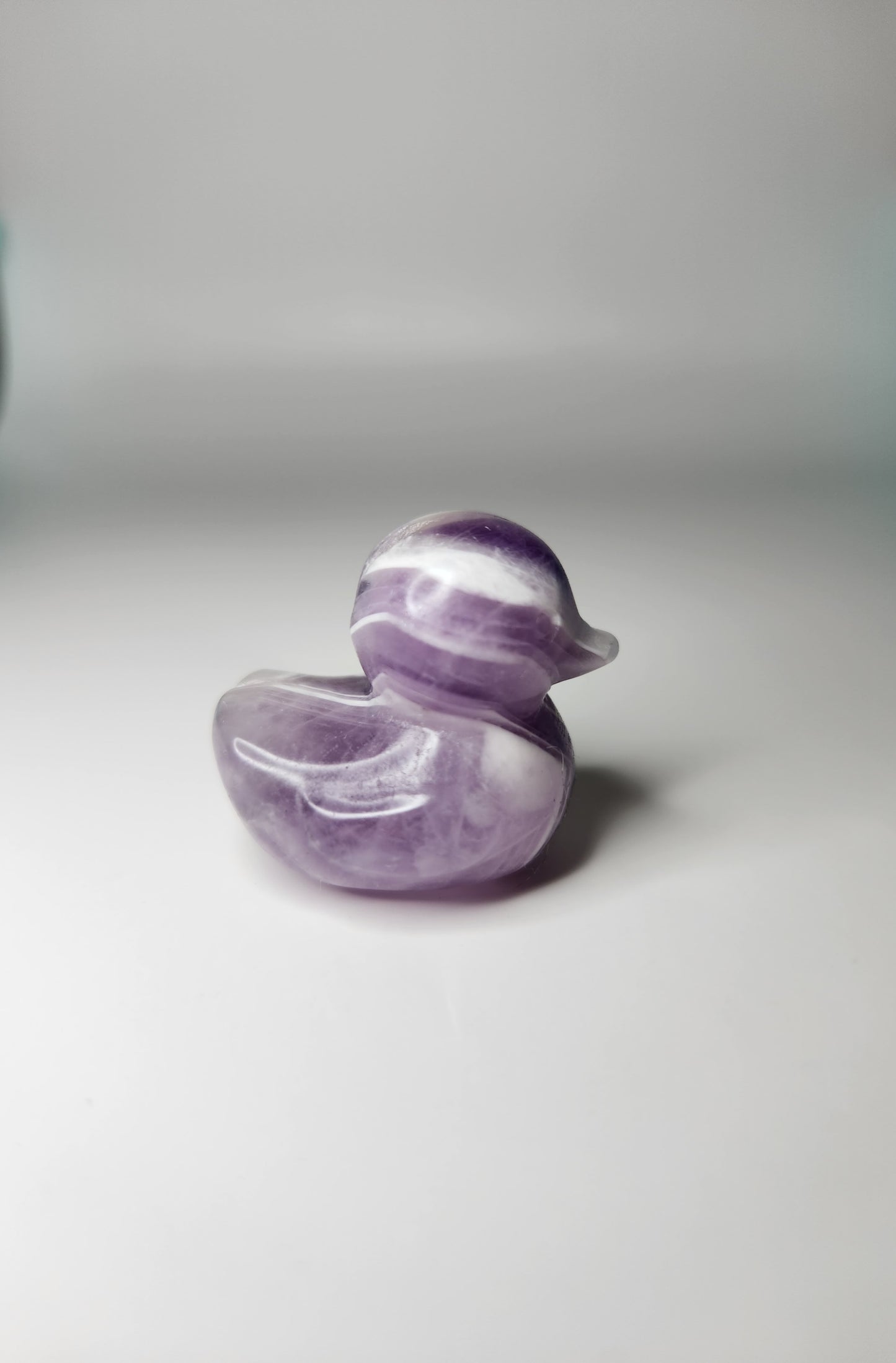 Rubber Duck Carving*