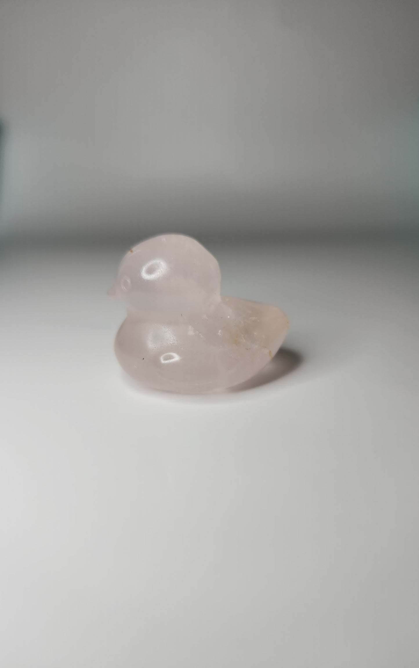 Rubber Duck Carving*
