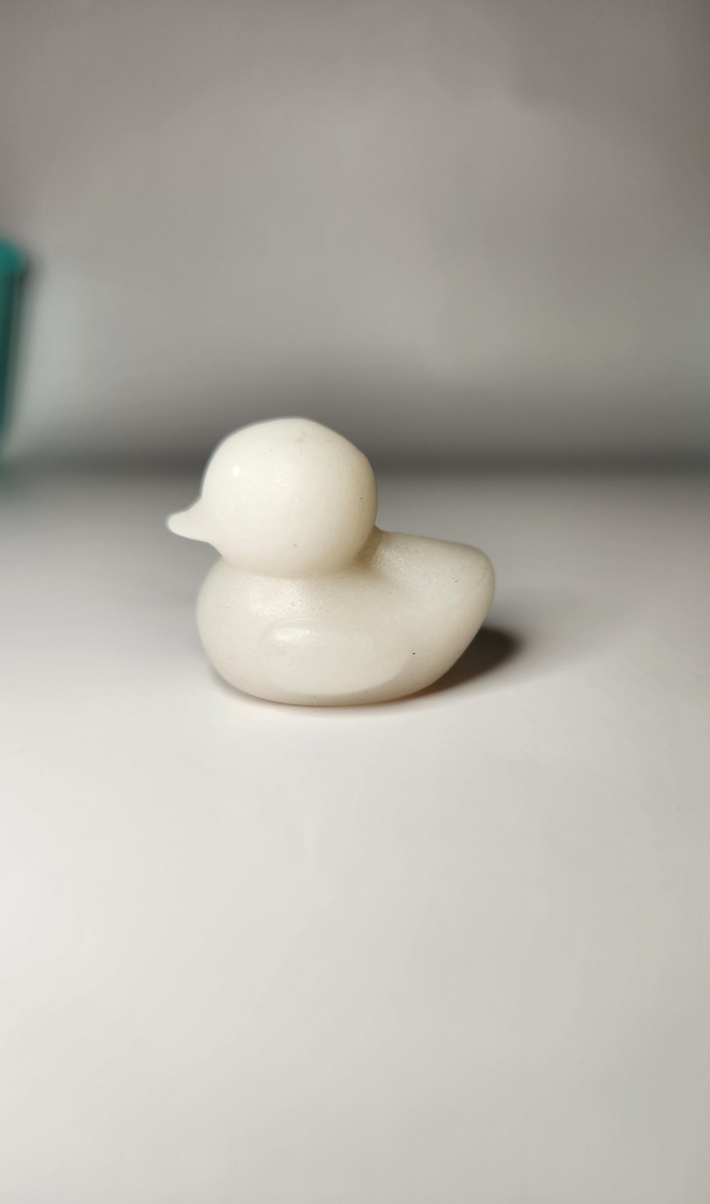 Rubber Duck Carving*