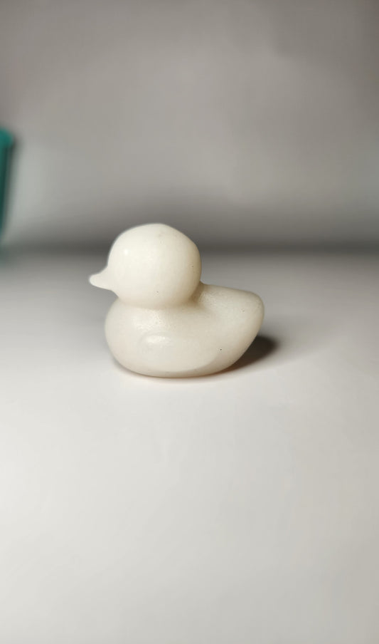 Rubber Duck Carving*