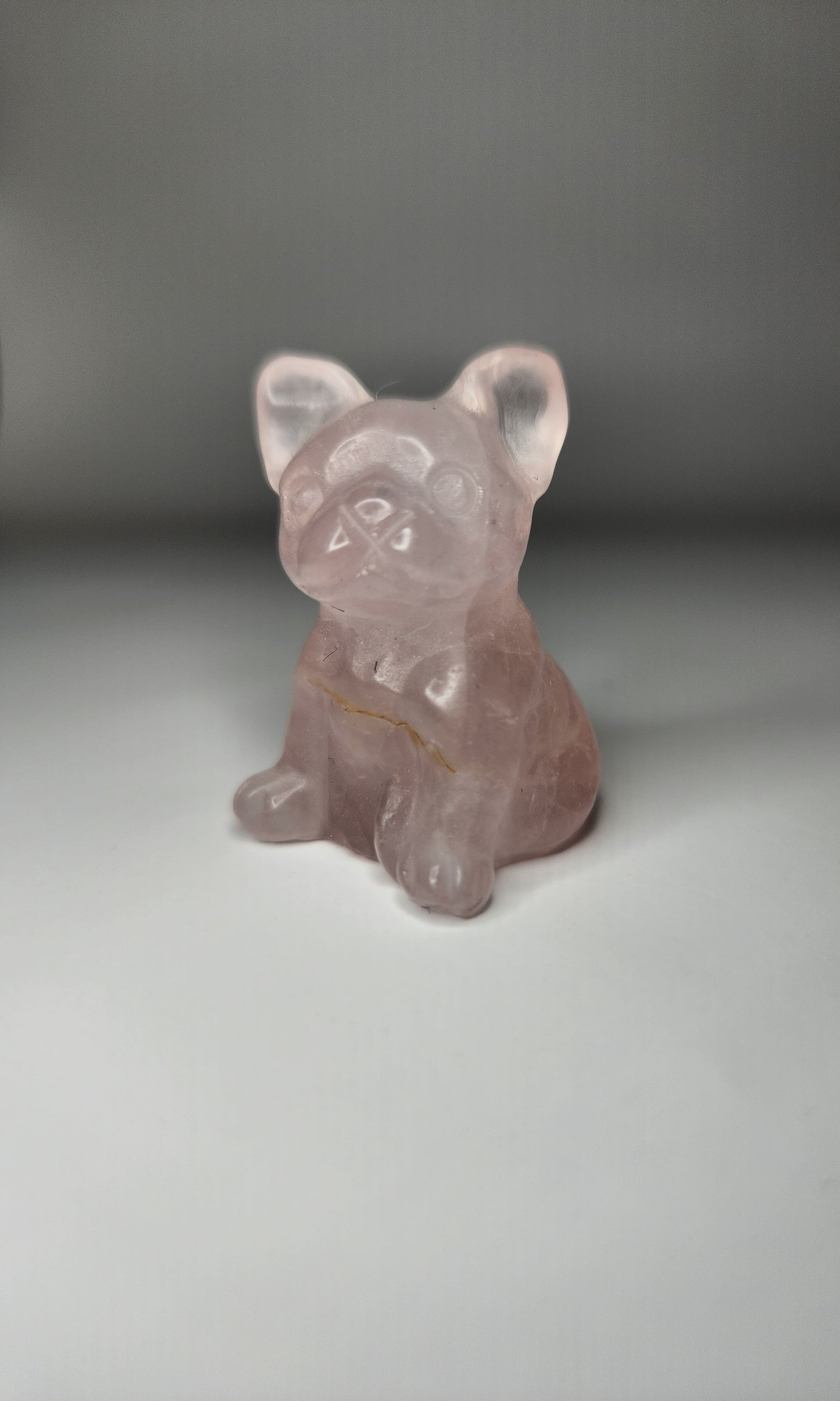 Frenchie Carving