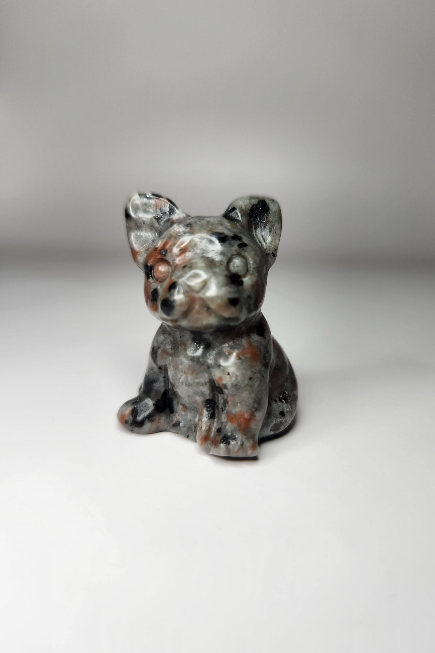 Frenchie Carving