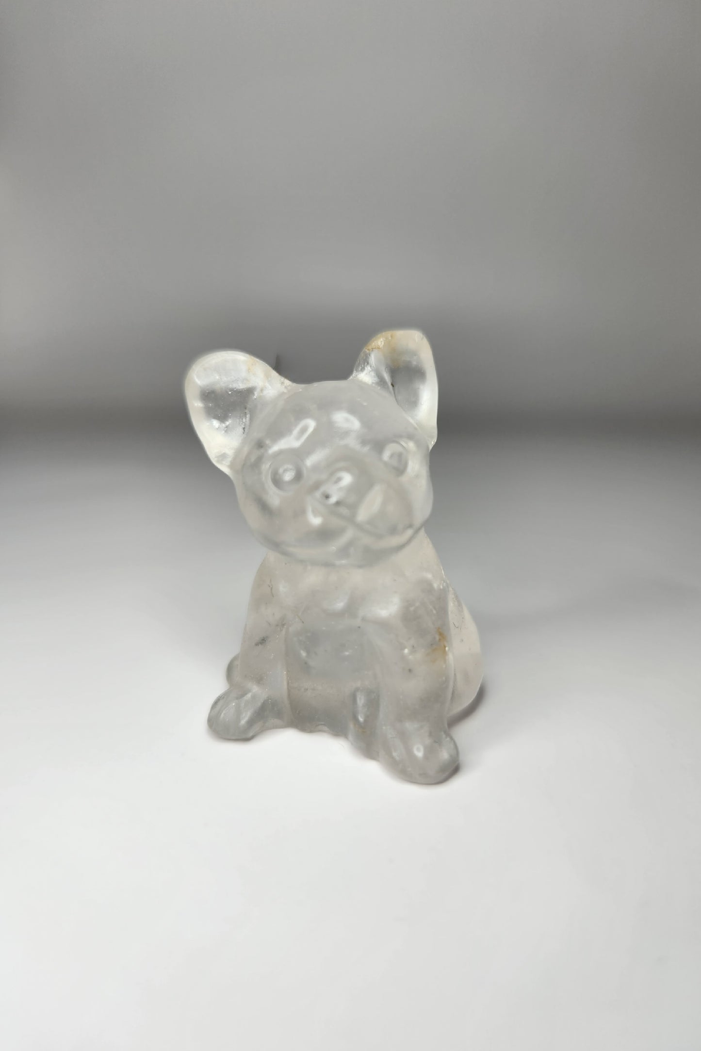Frenchie Carving
