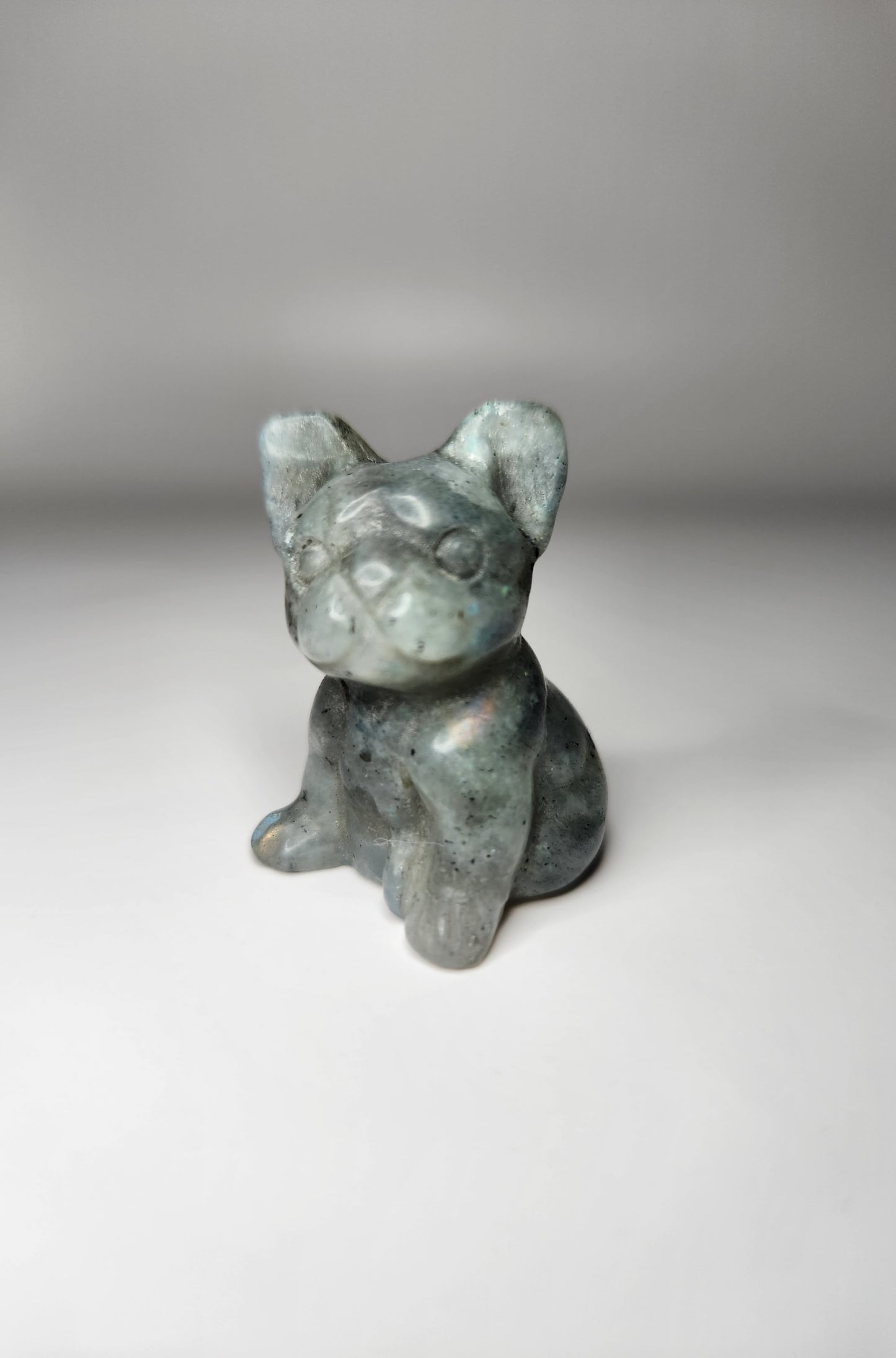 Frenchie Carving