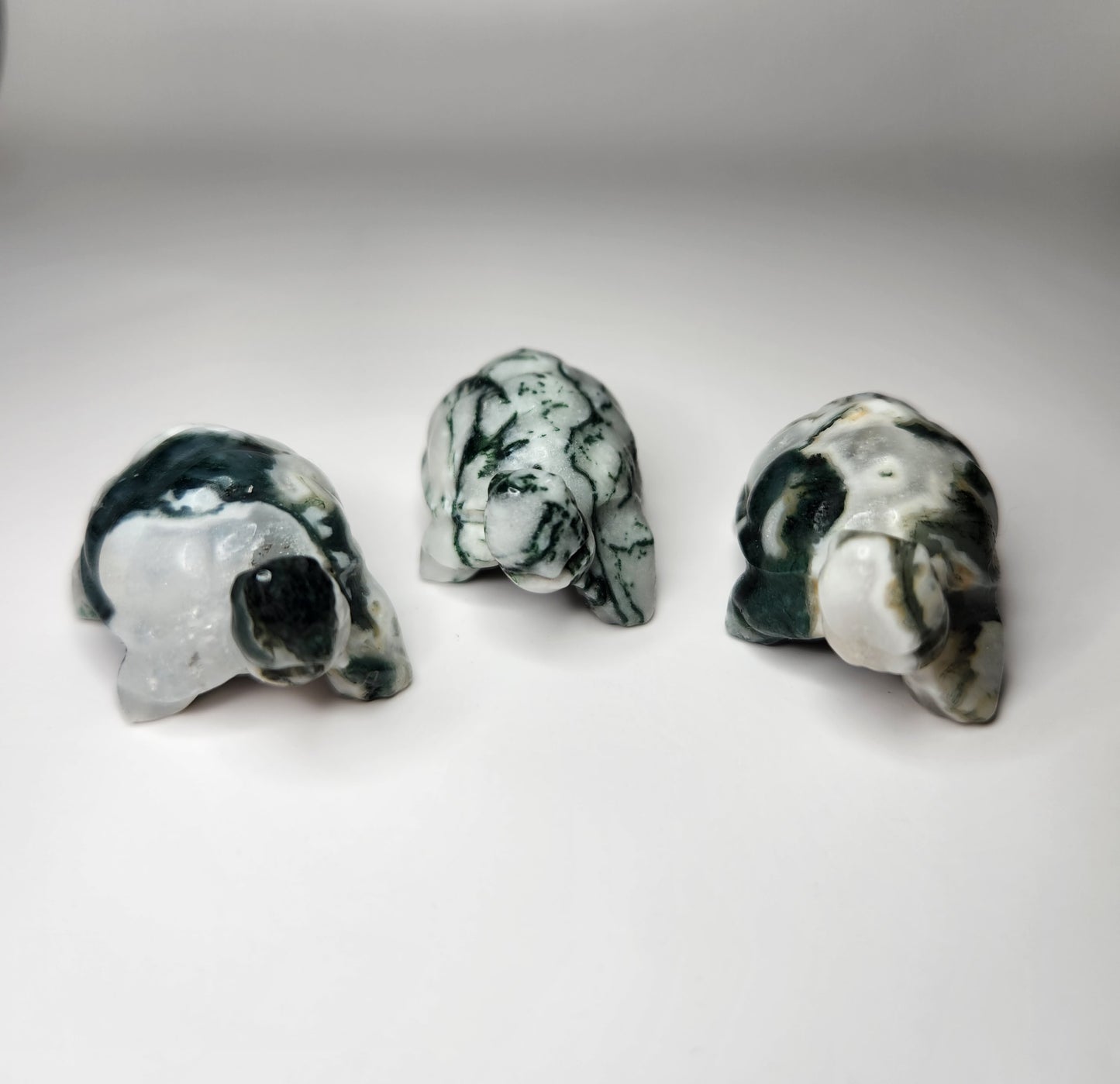 Moss Agate Turtle