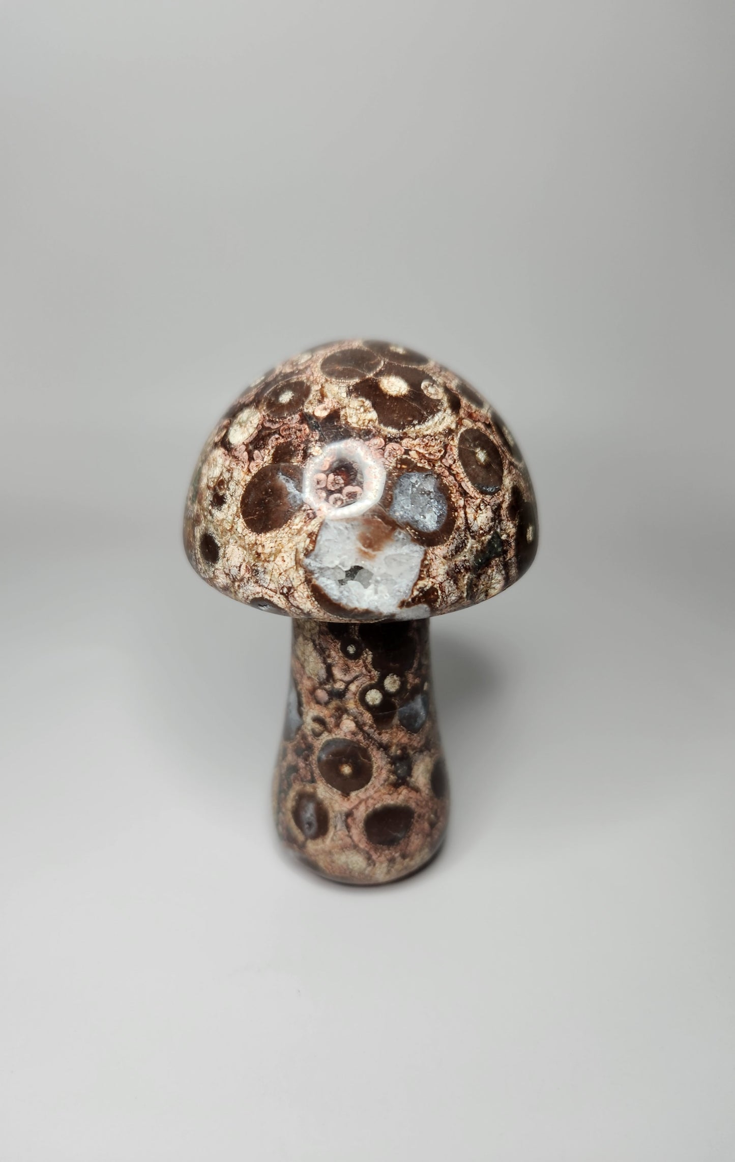 Leopard Skin Jasper Mushroom