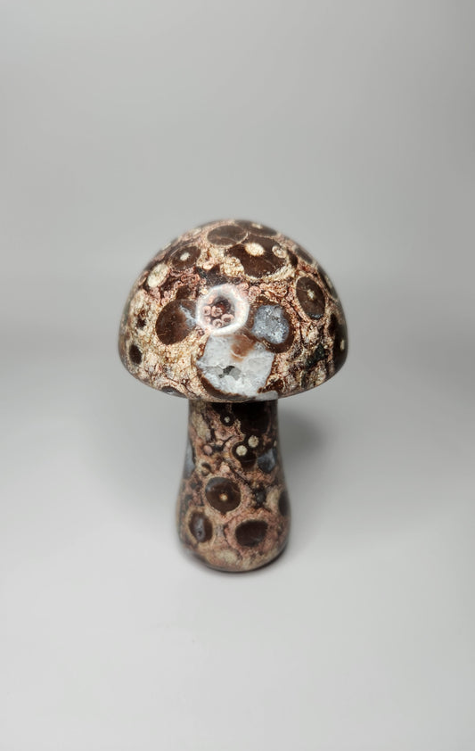 Leopard Skin Jasper Mushroom