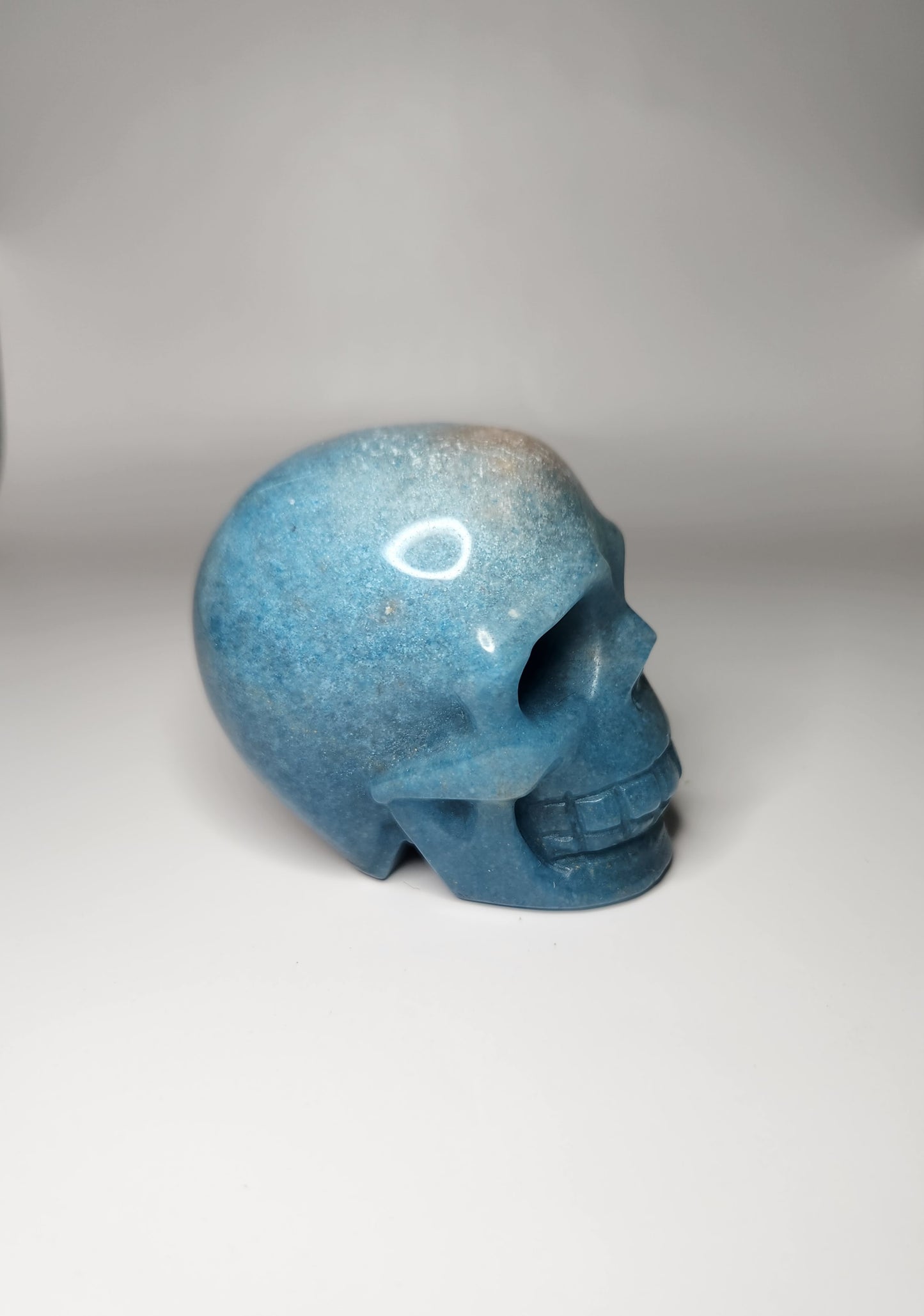 Trolleite Skull