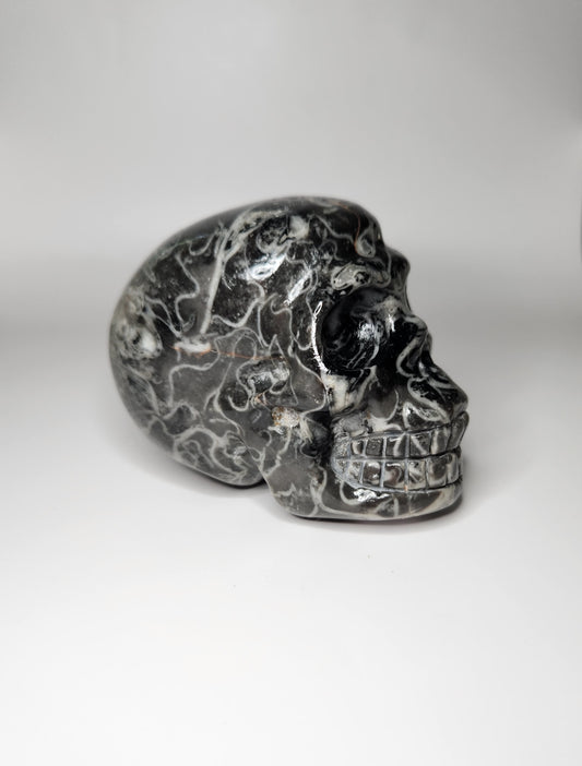 Picasso Jasper Skull
