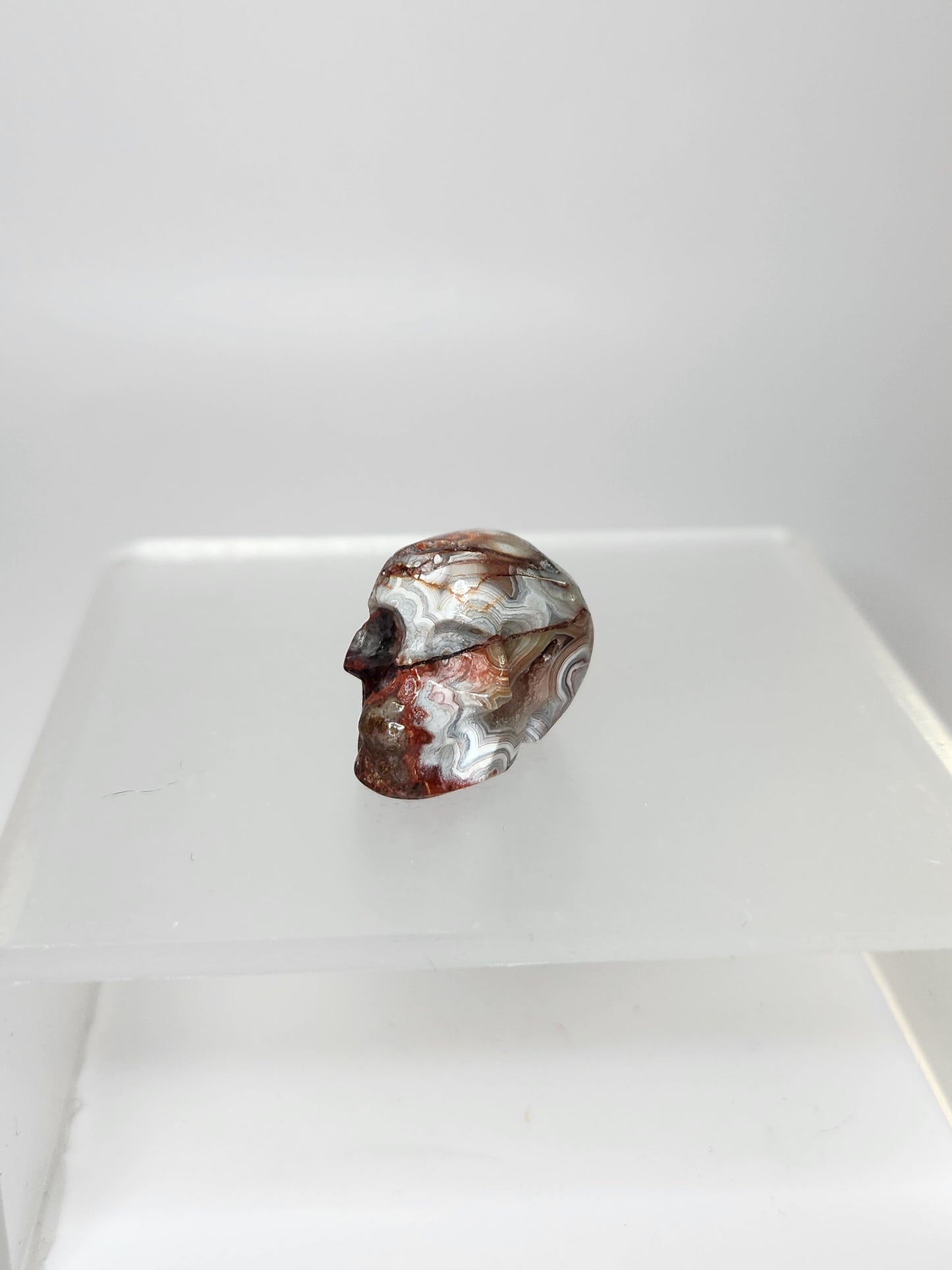 Skull Carving - Mini
