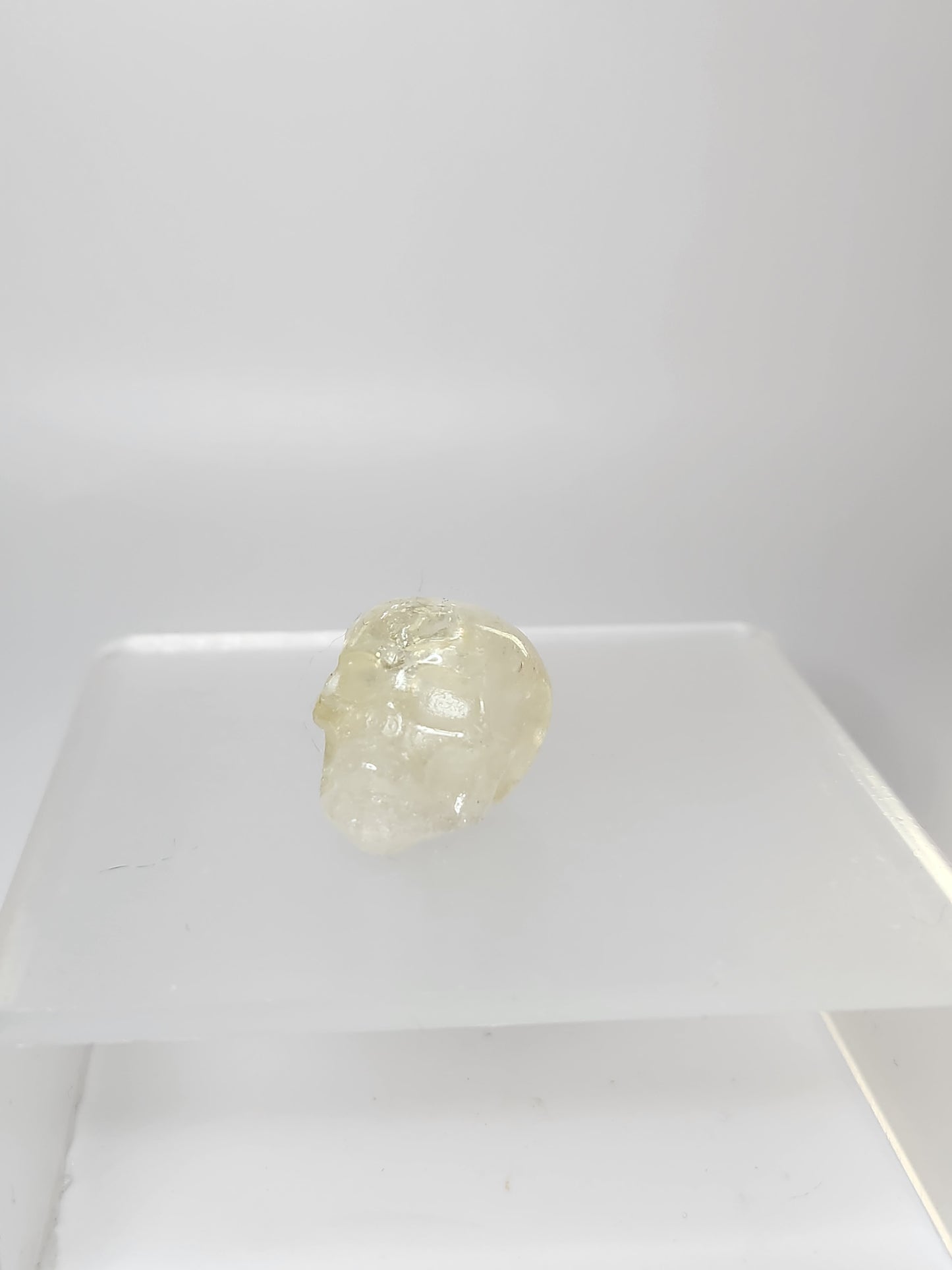Skull Carving - Mini