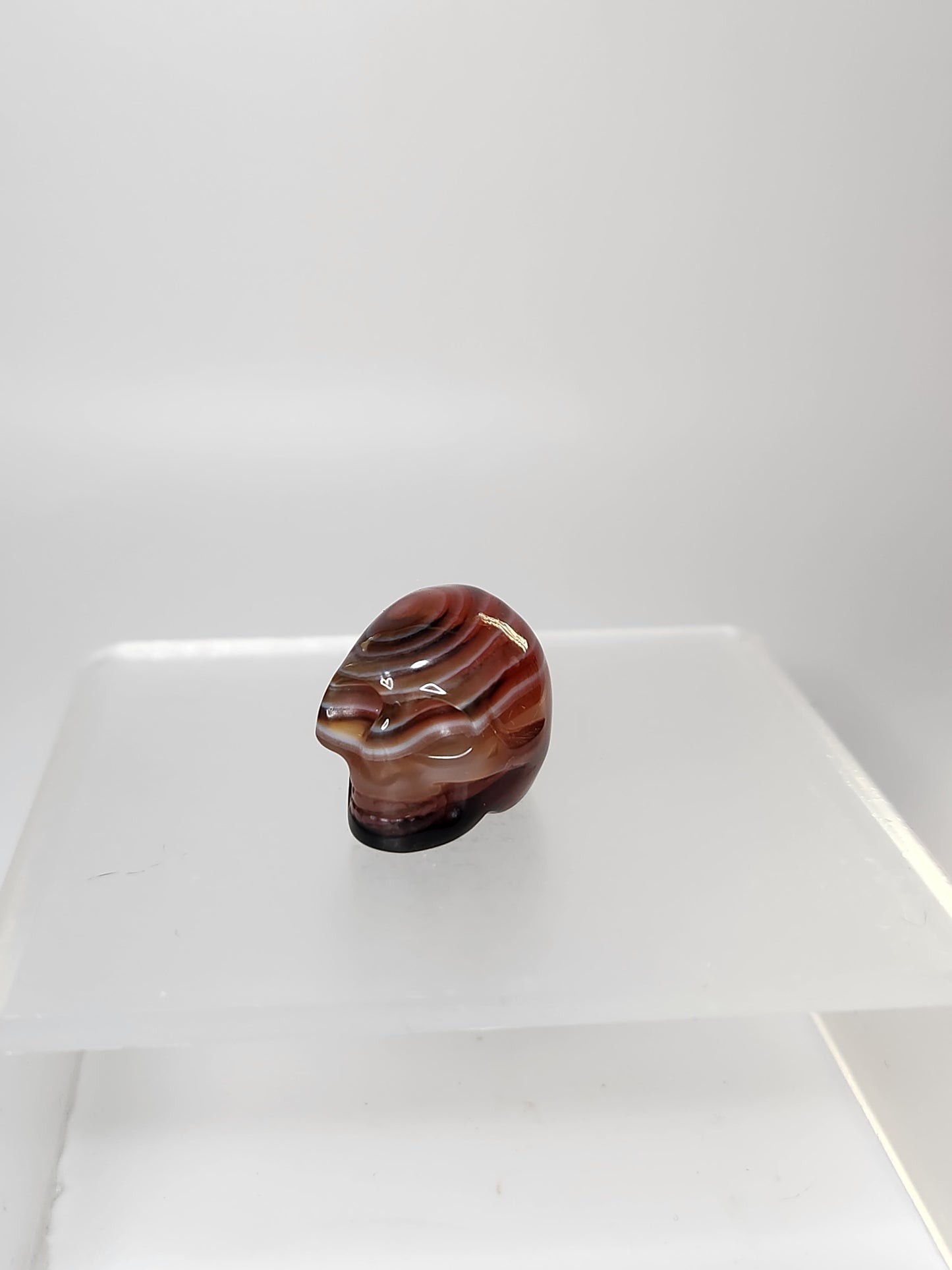 Skull Carving - Mini