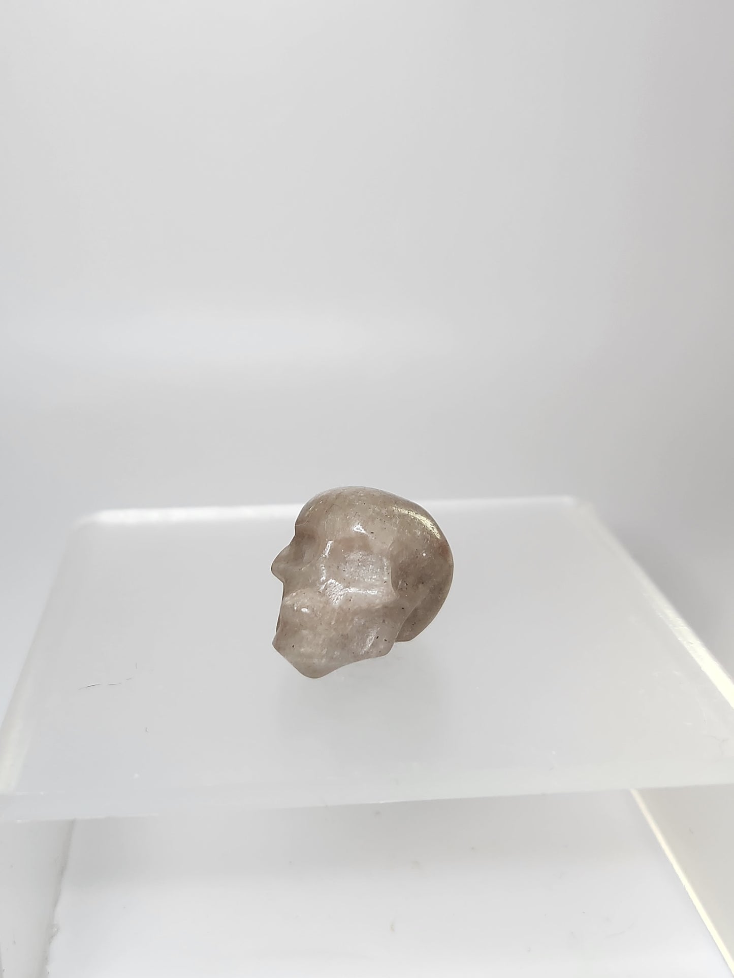 Skull Carving - Mini