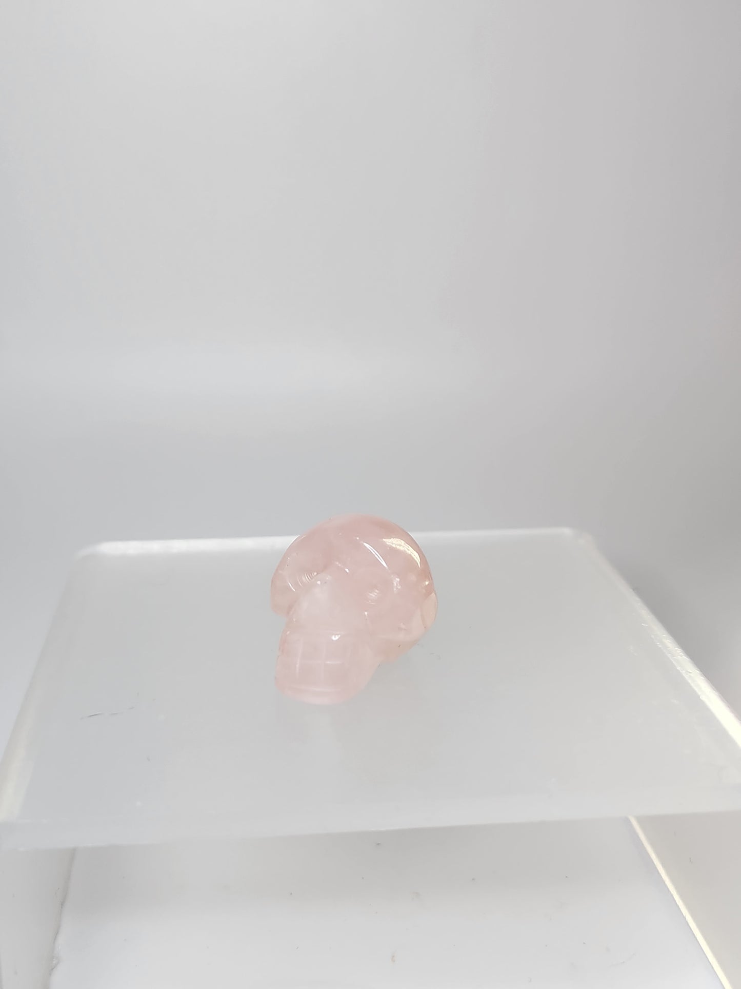 Skull Carving - Mini