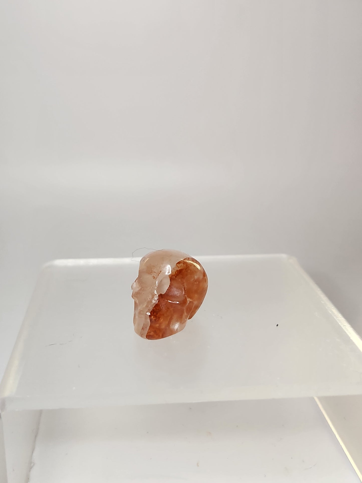 Skull Carving - Mini
