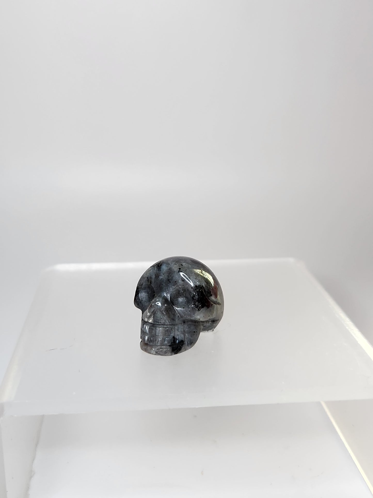 Skull Carving - Mini