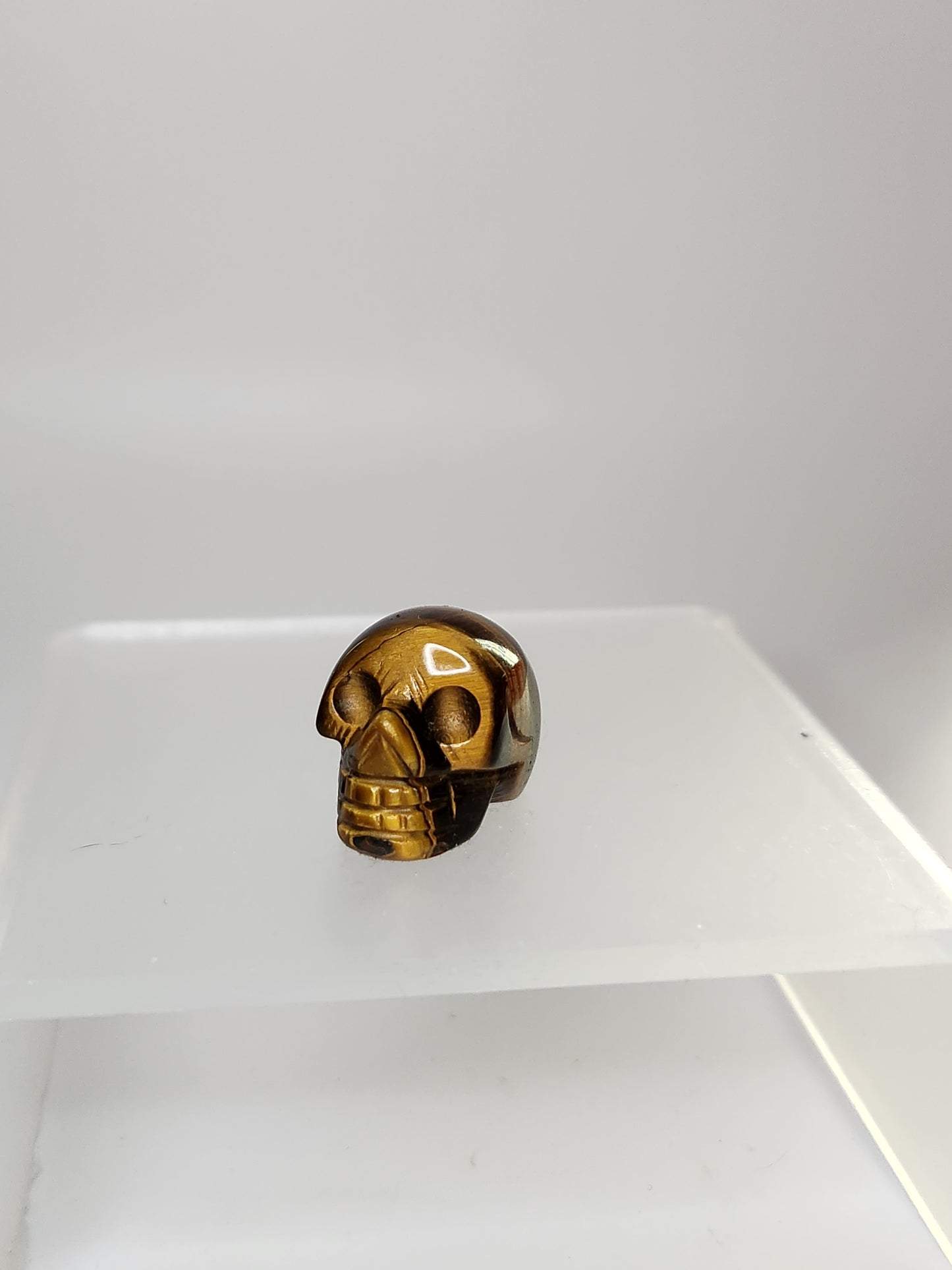 Skull Carving - Mini