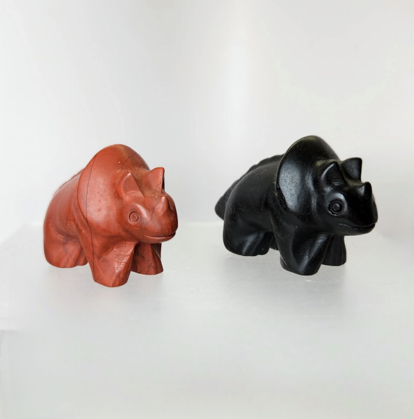 Triceratops Dinosaur