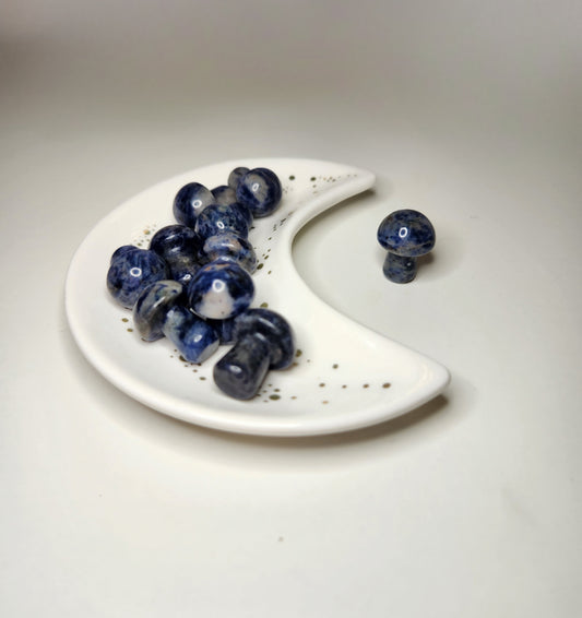Sodalite Mini Mushroom