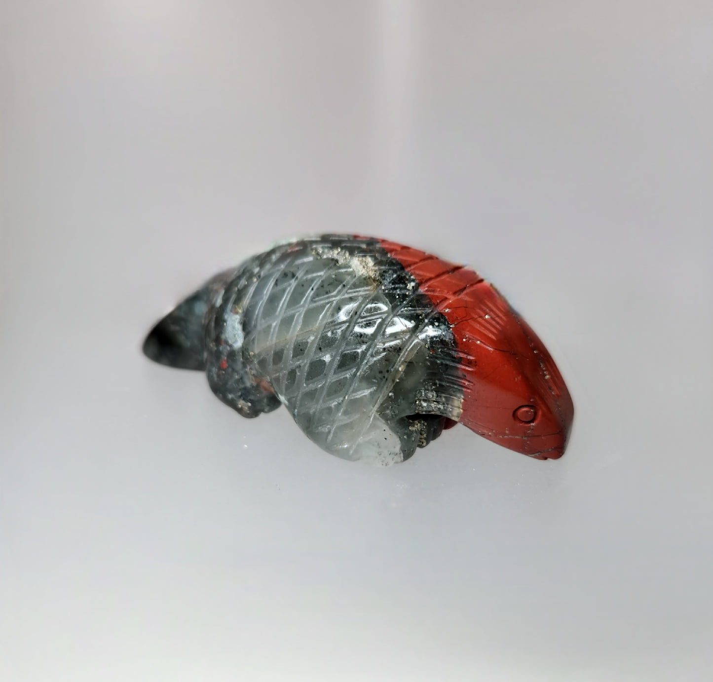 Armadillo Carving