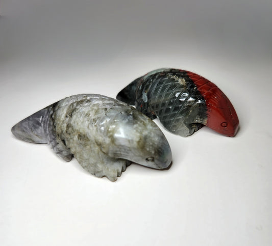 Armadillo Carving