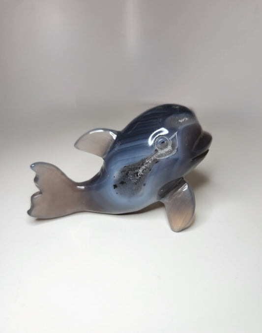 Agate Dolphin