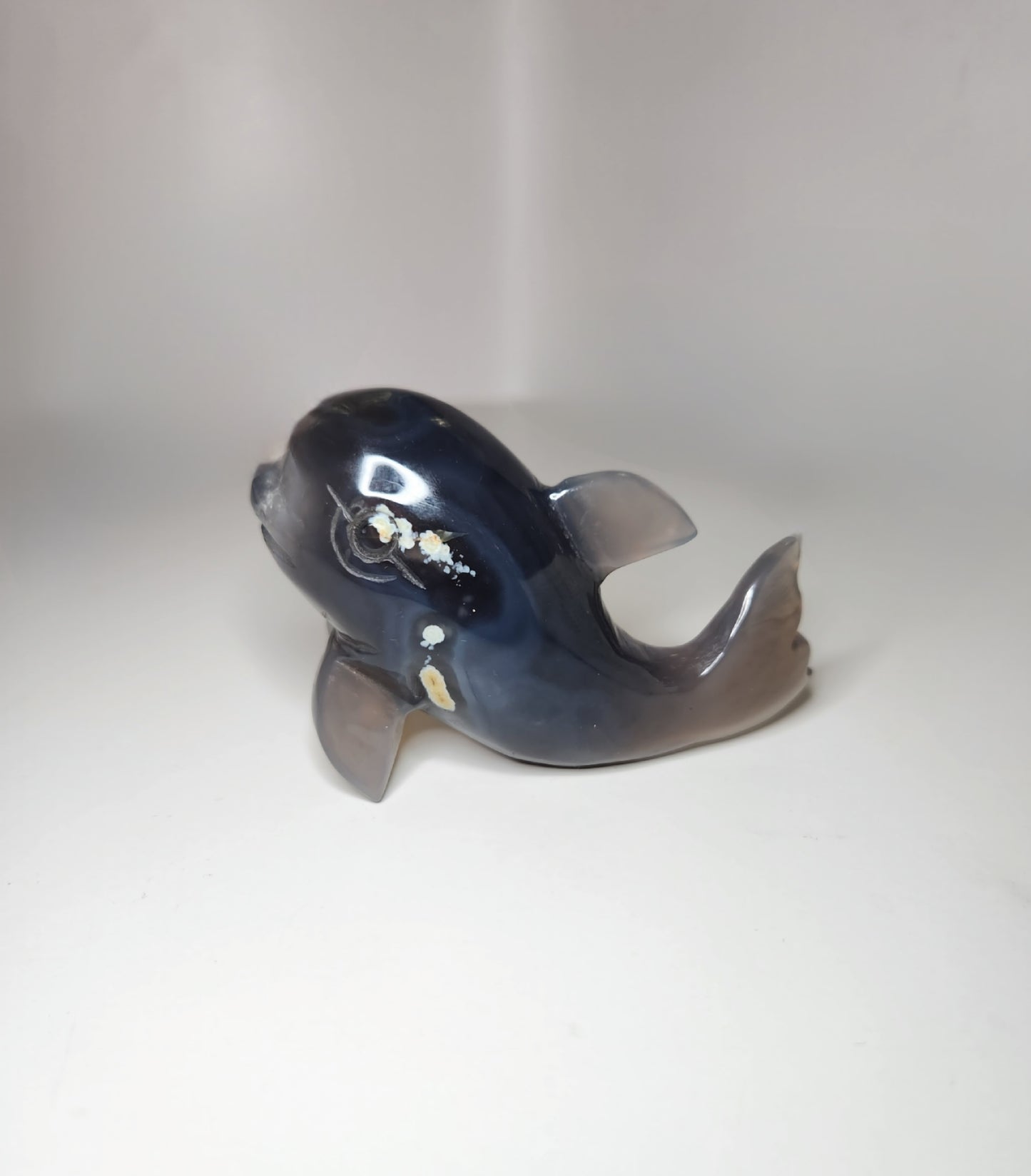 Agate Dolphin