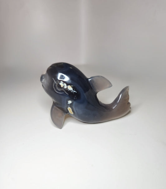 Agate Dolphin