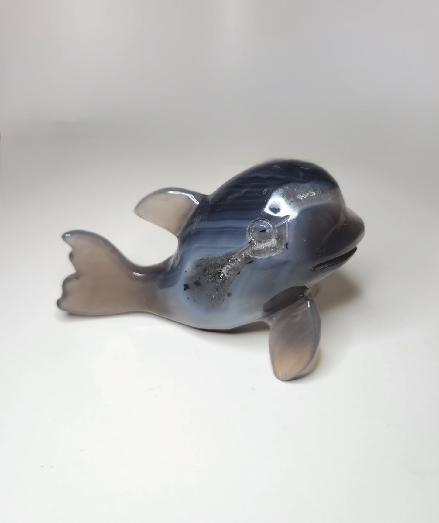 Agate Dolphin