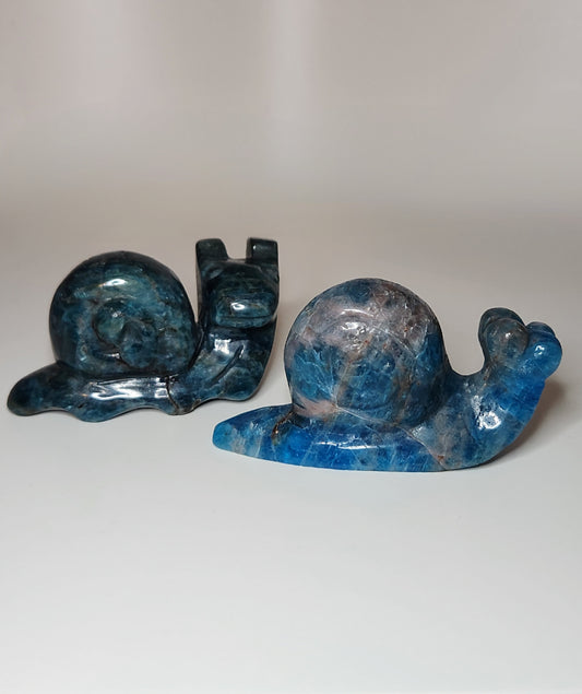 Blue Apatite Snail