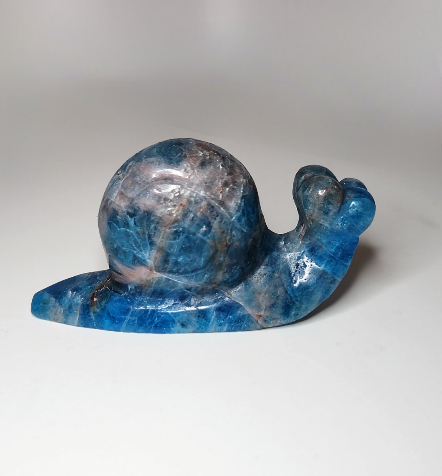 Blue Apatite Snail