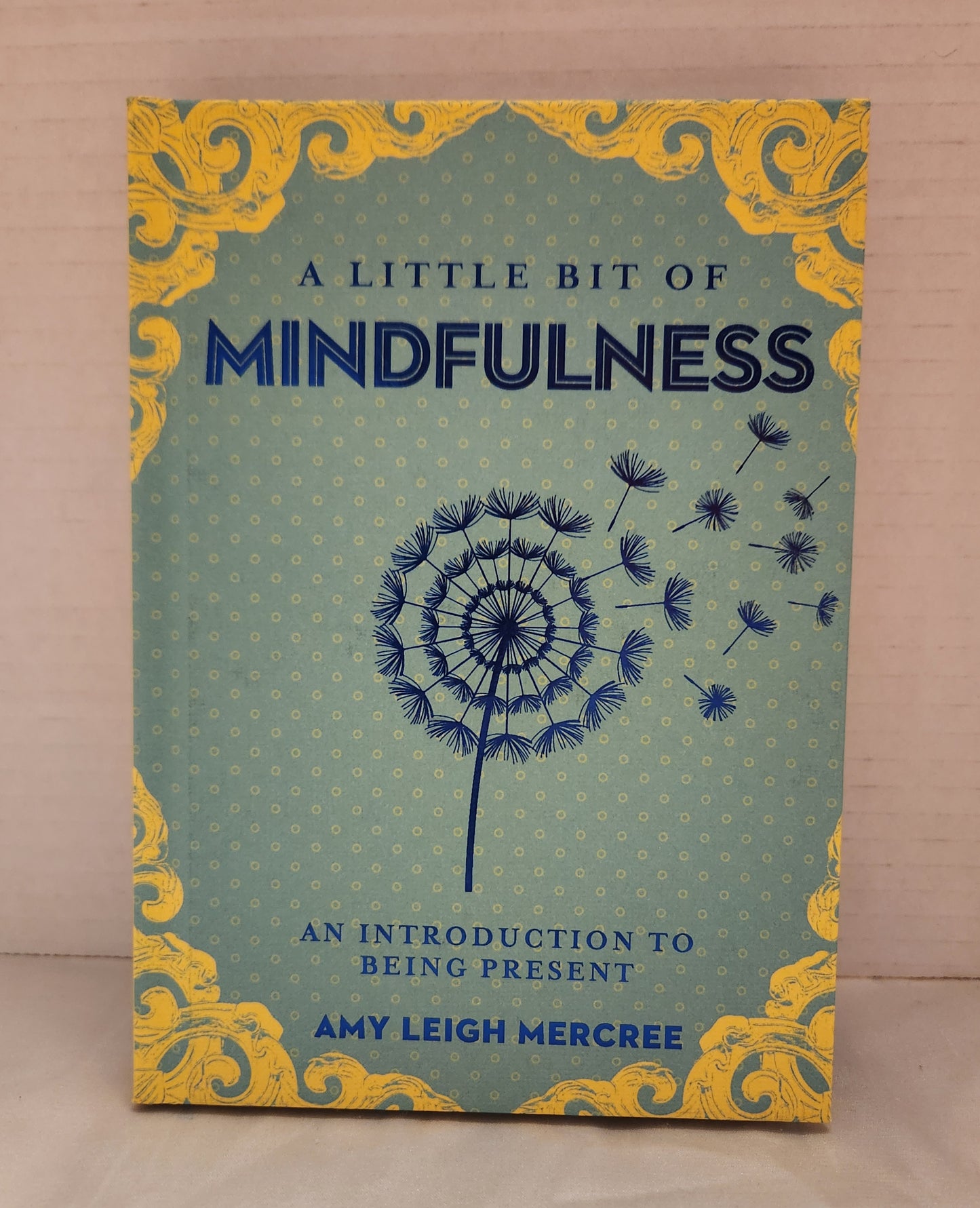 A Little Bit of Mindfulness Book