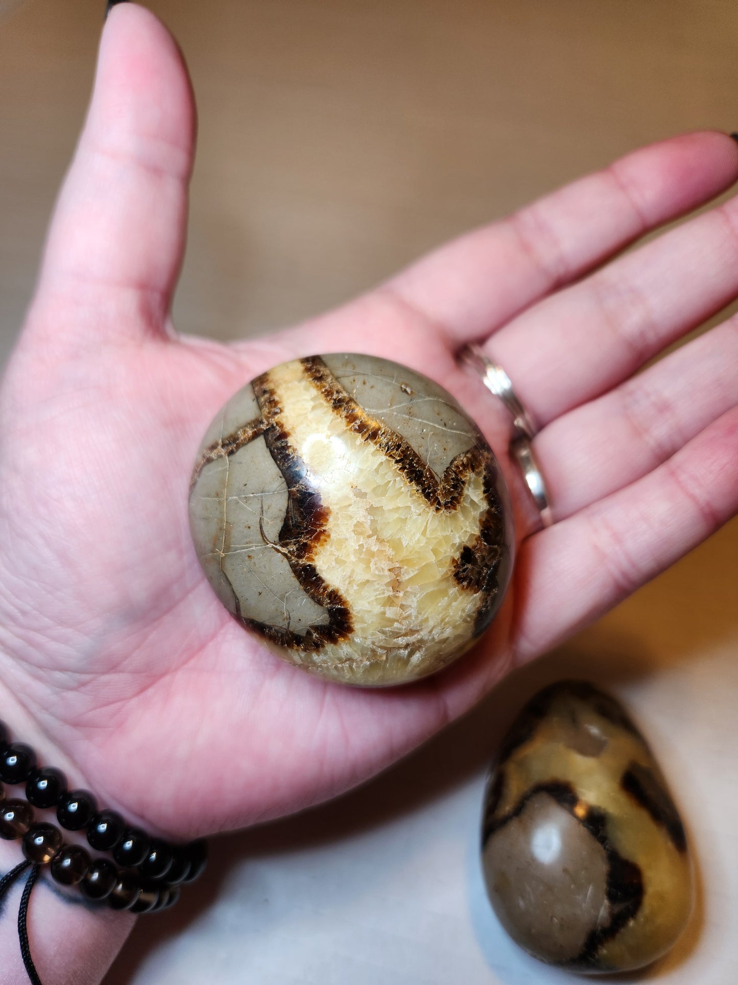 Septarian Palm Stone