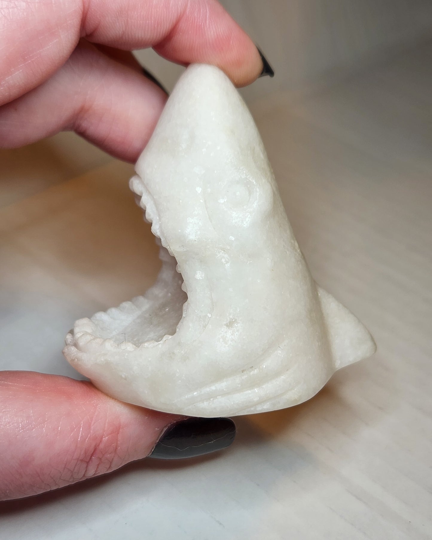 Shark Head Carving