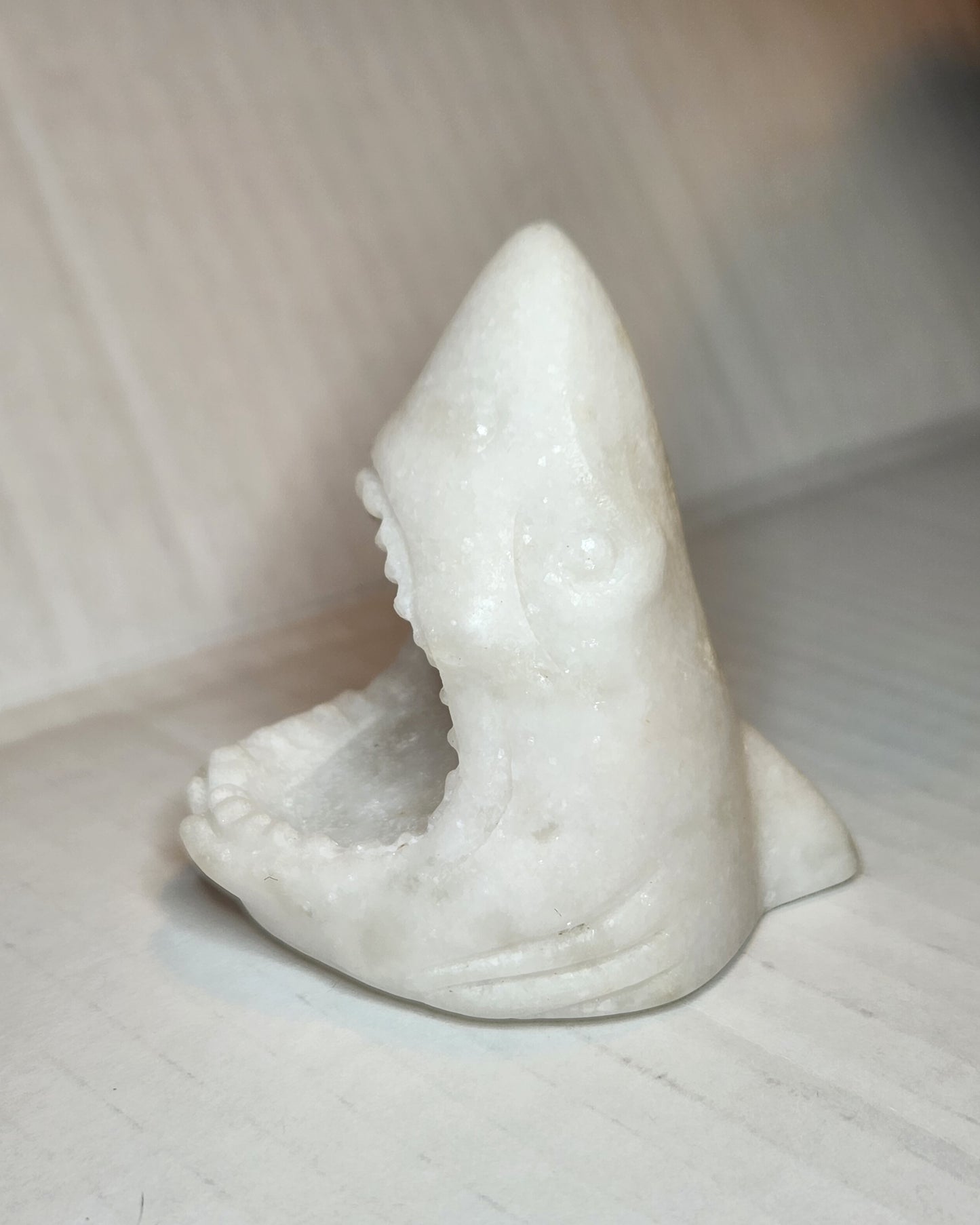 Shark Head Carving