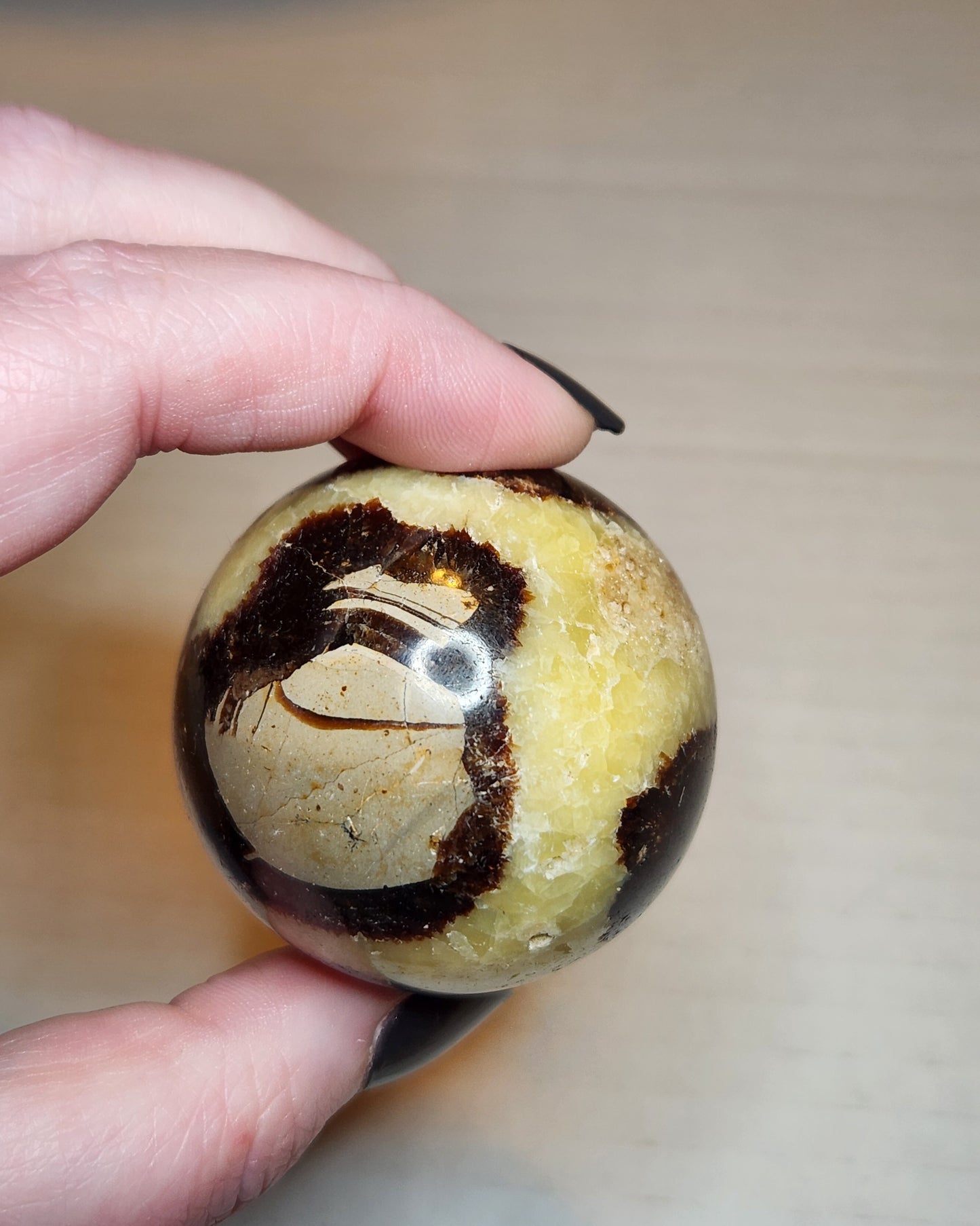Septarian Sphere