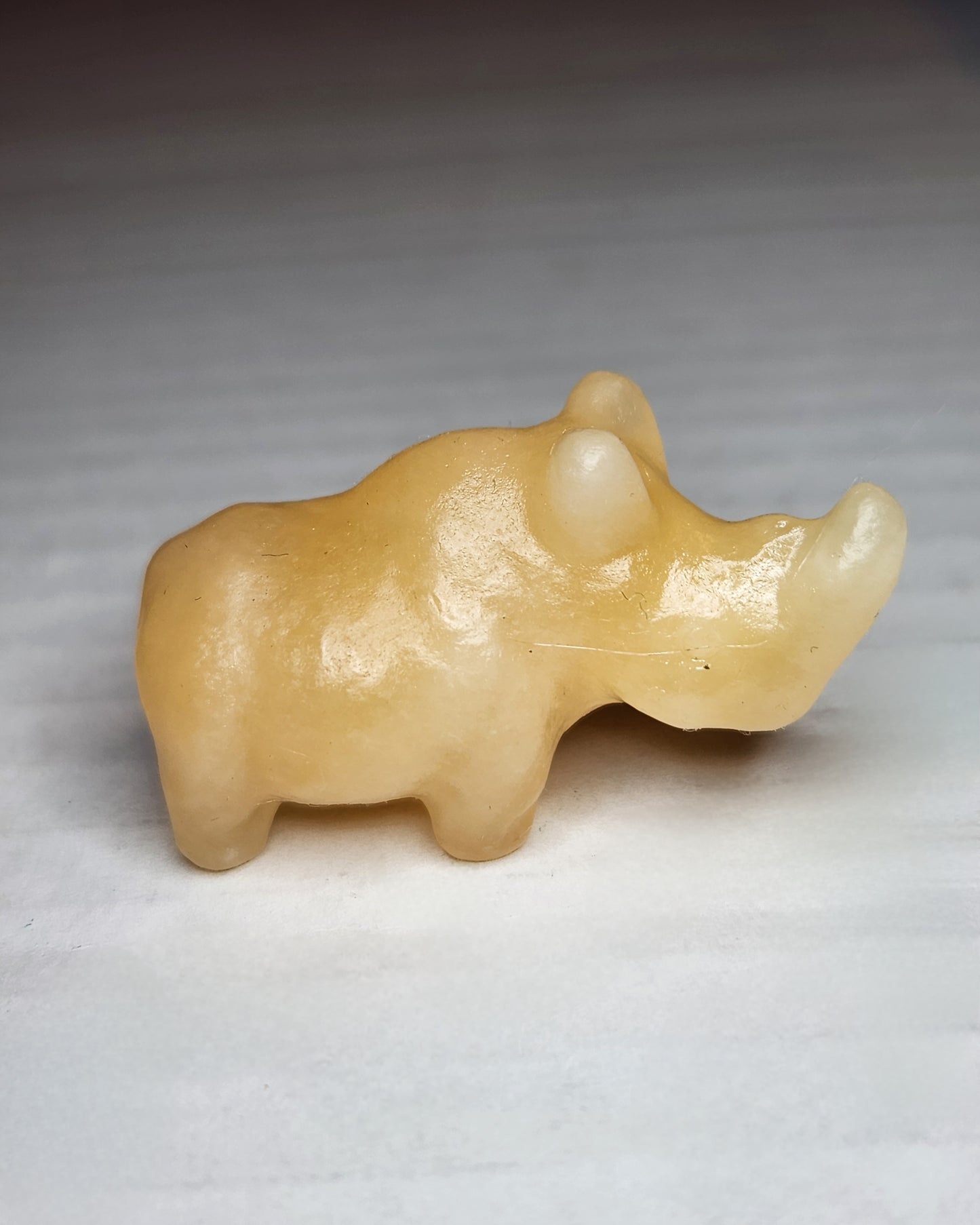 Mini Rhinoceros