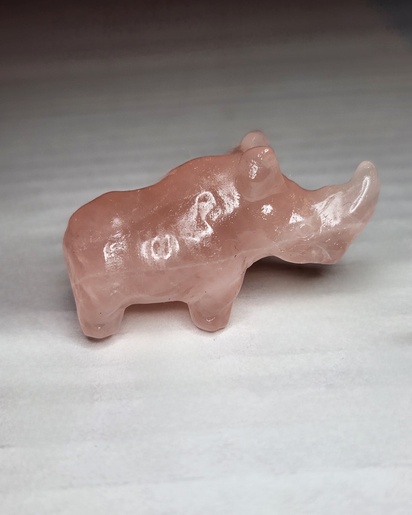 Mini Rhinoceros