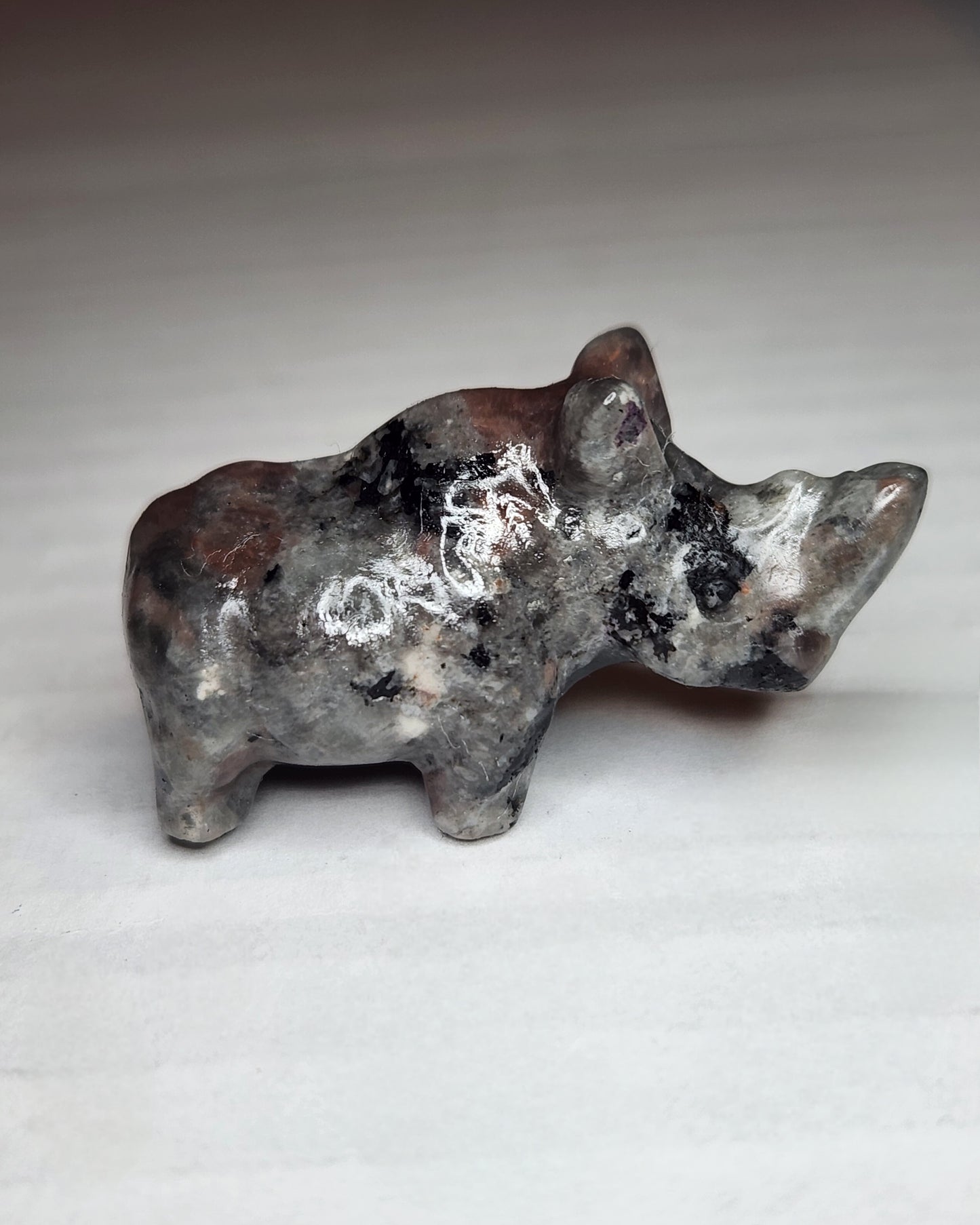 Mini Rhinoceros