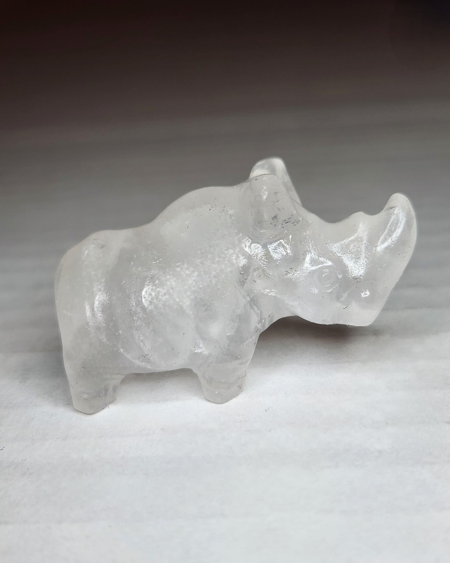 Mini Rhinoceros