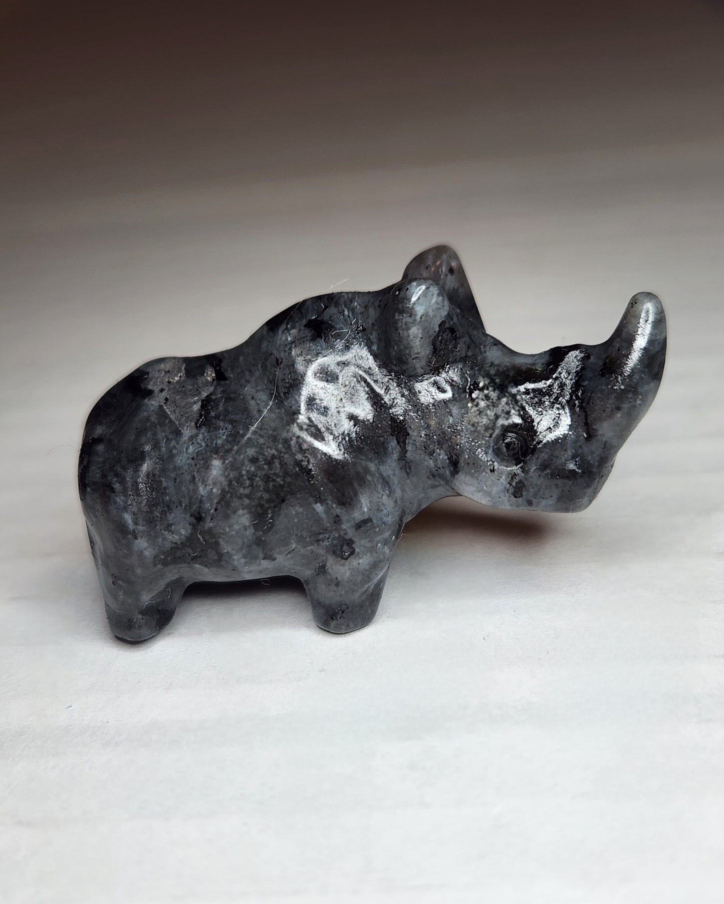 Mini Rhinoceros