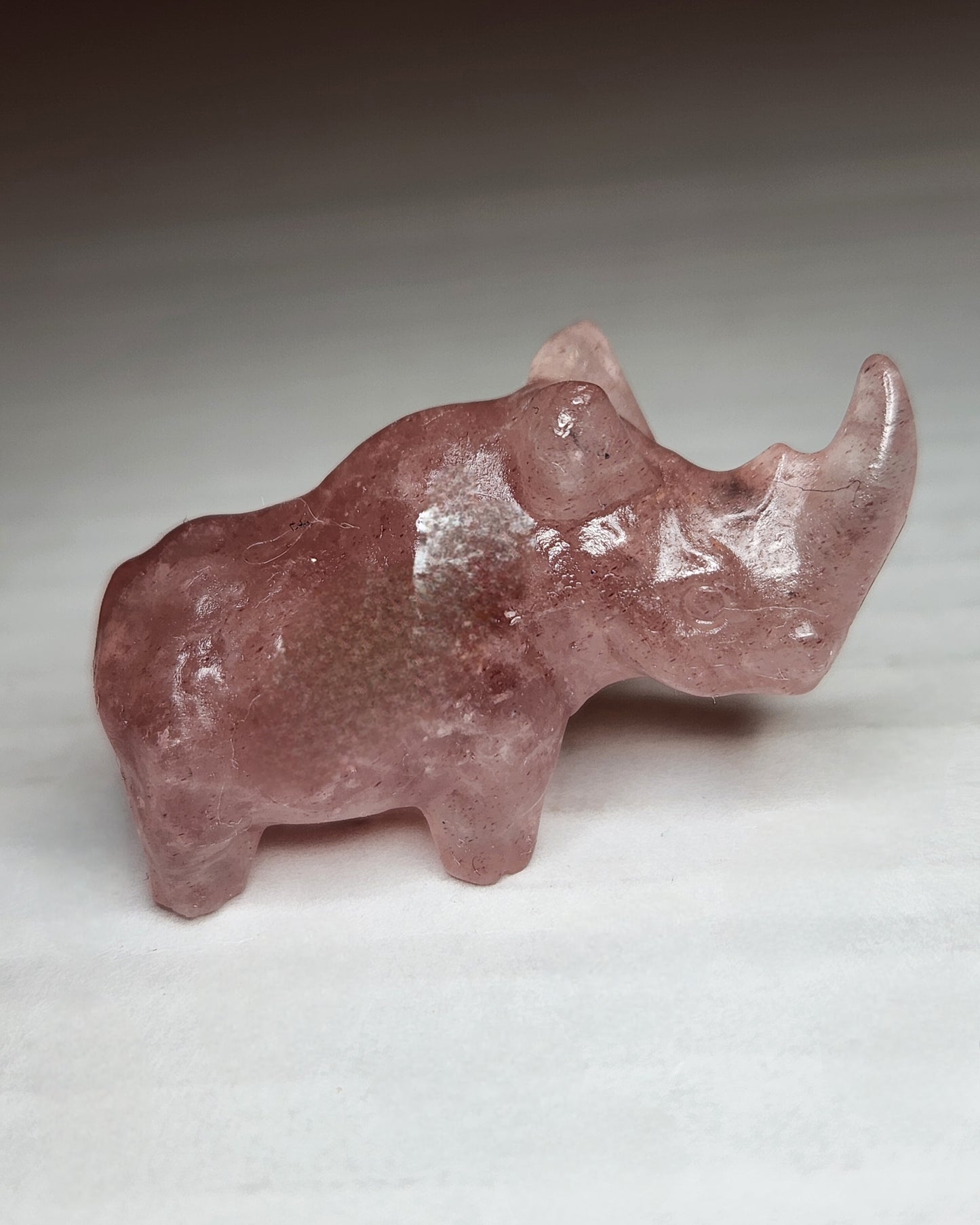 Mini Rhinoceros