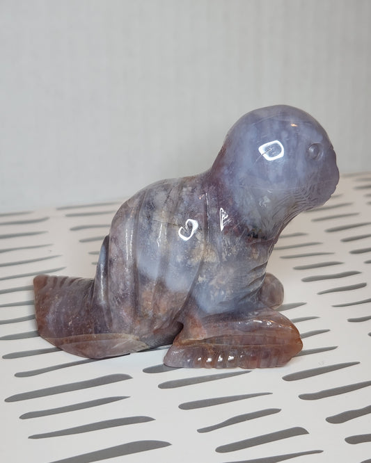 Sea Jasper Seal