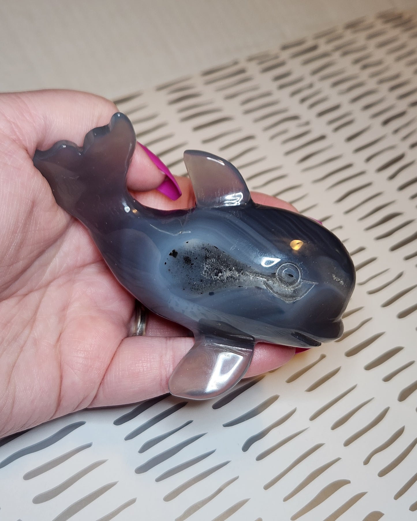 Agate Dolphin