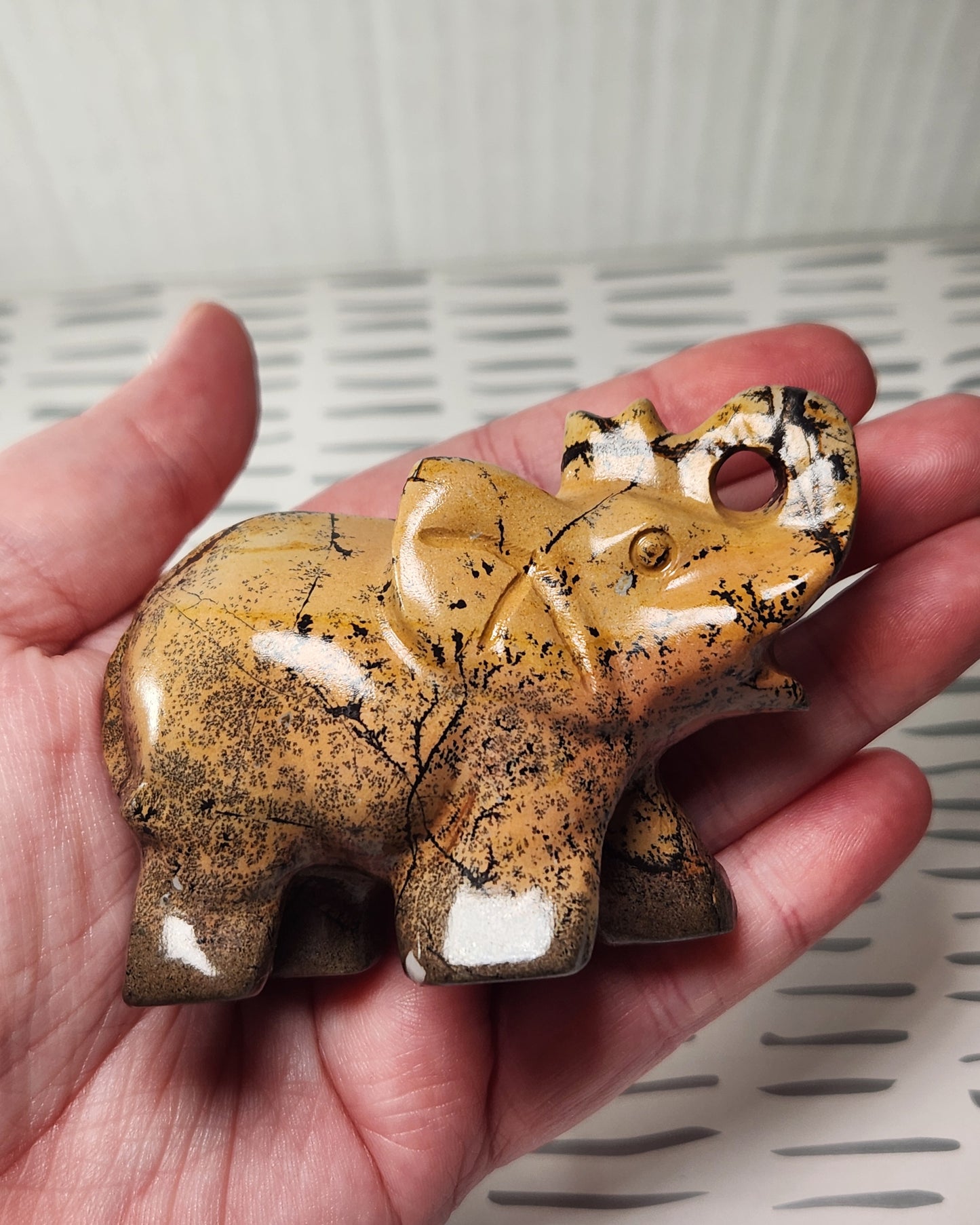 Picture Jasper Elephant