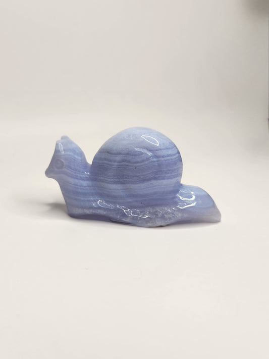 Blue Lace Agate Snail