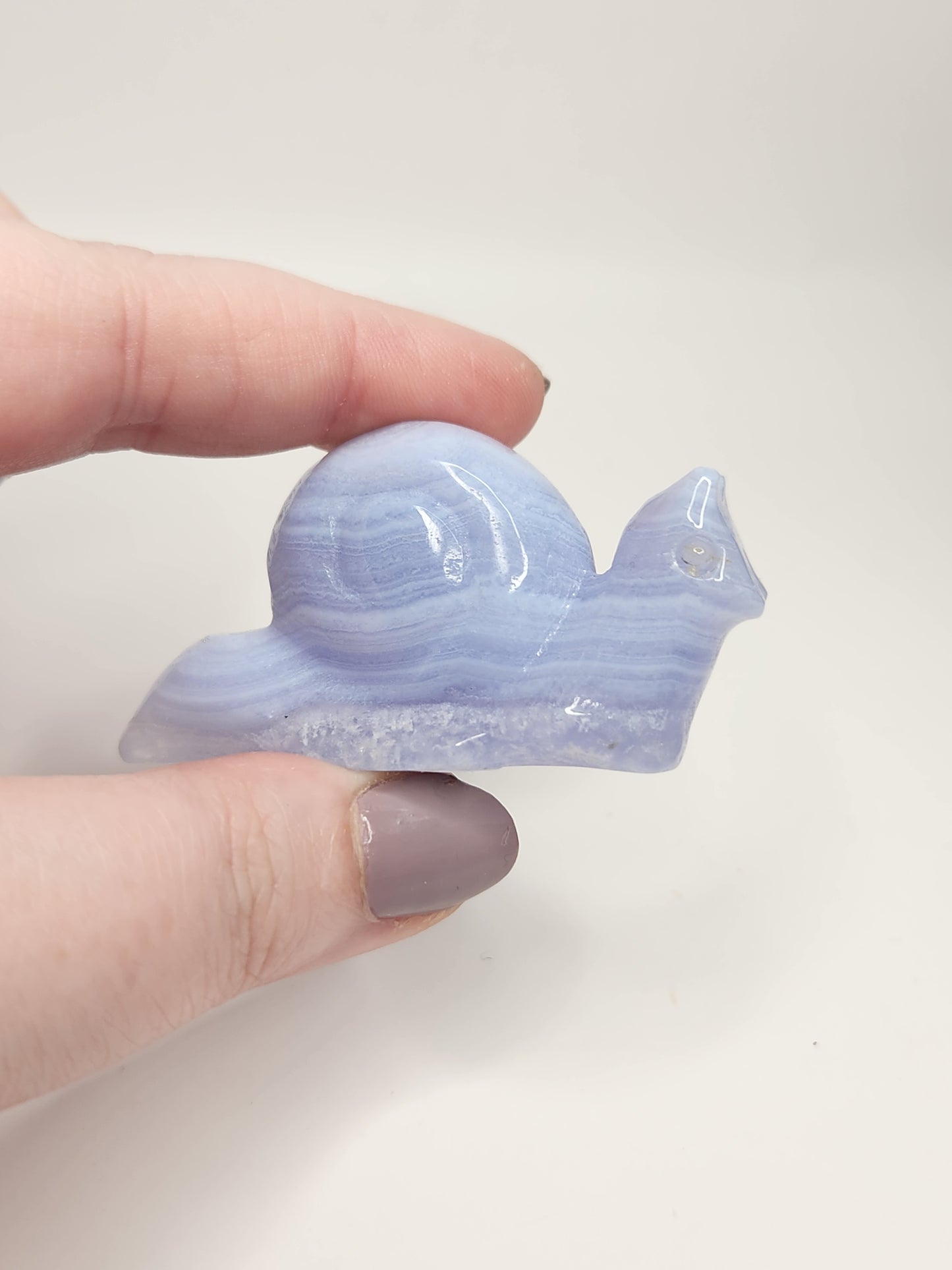 Blue Lace Agate Snail